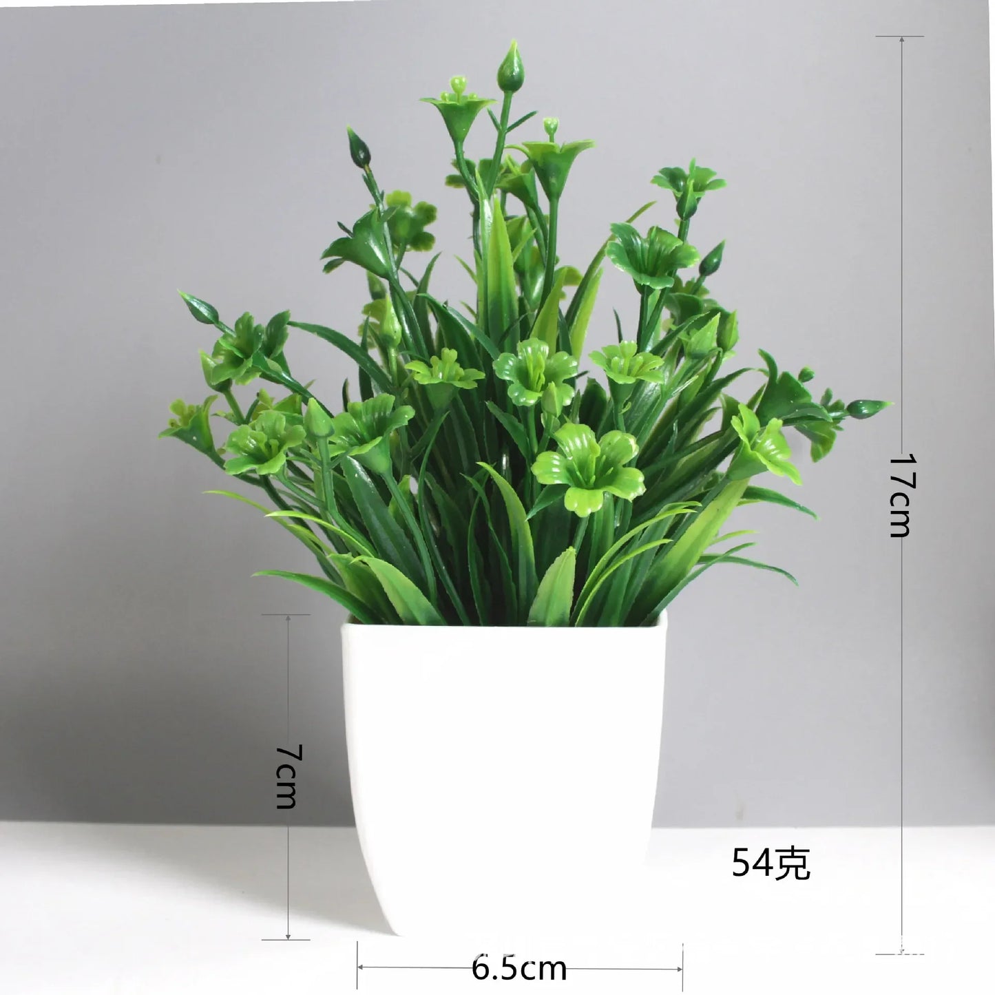 Planta Decorativa Mini Everline