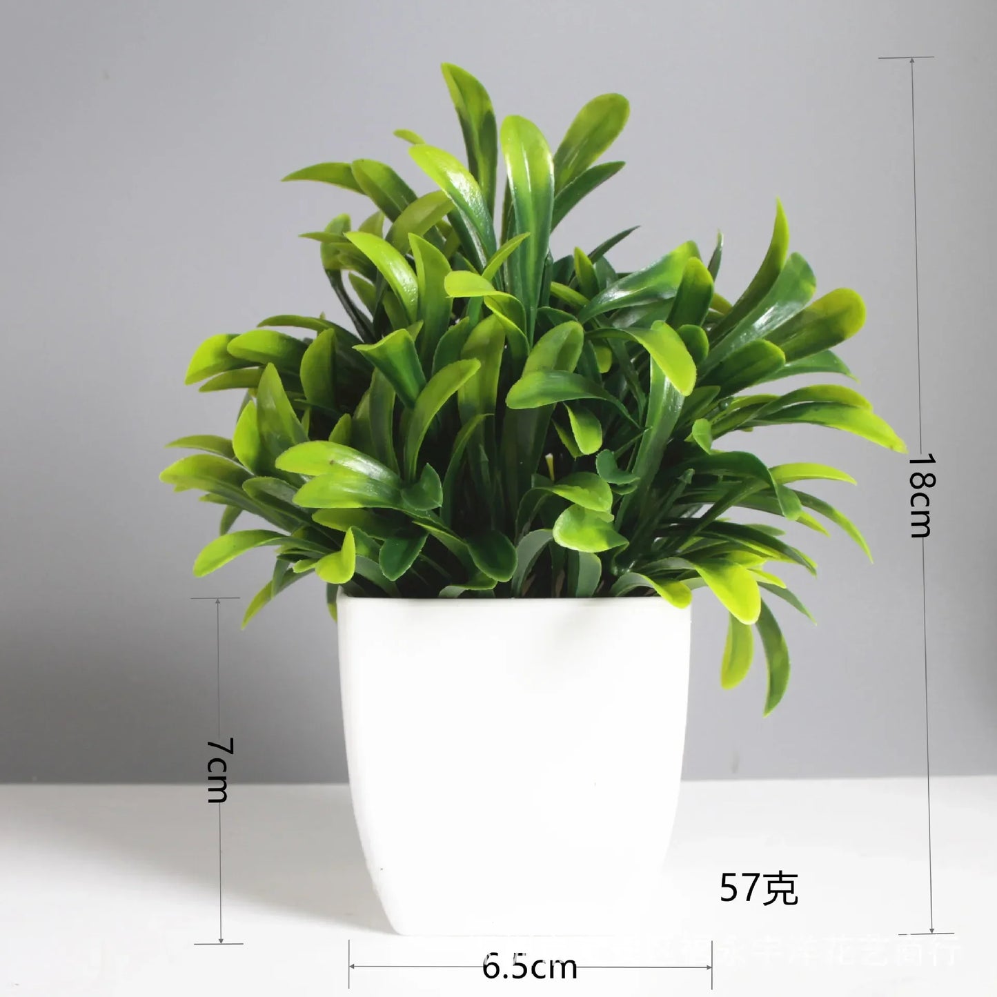 Planta Decorativa Mini Everline