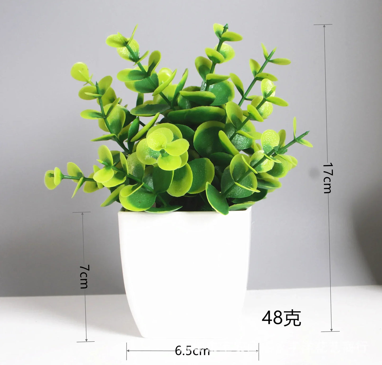 Planta Decorativa Mini Everline