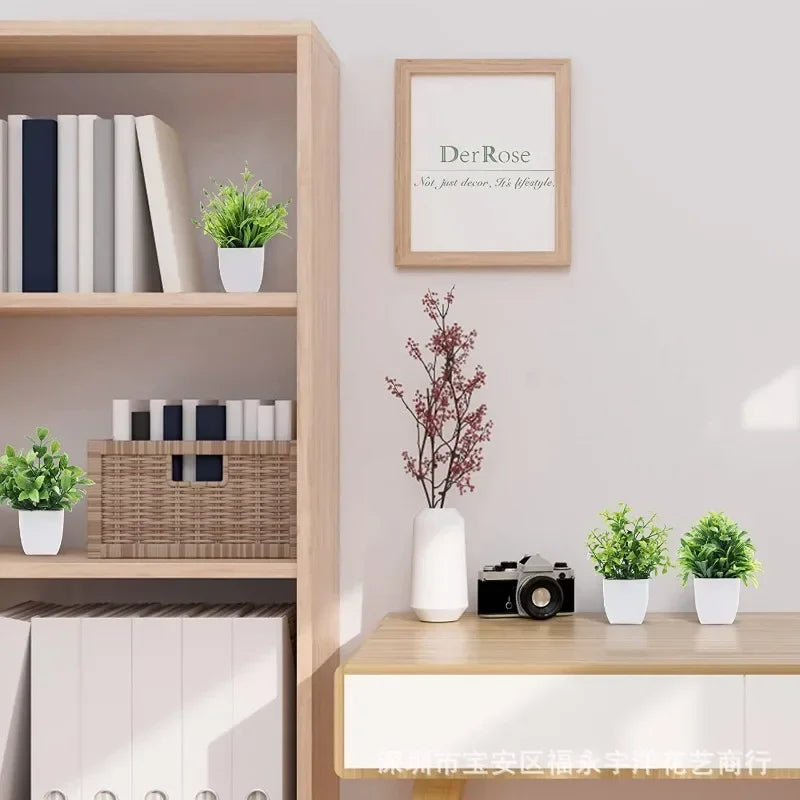 Planta Decorativa Mini Everline