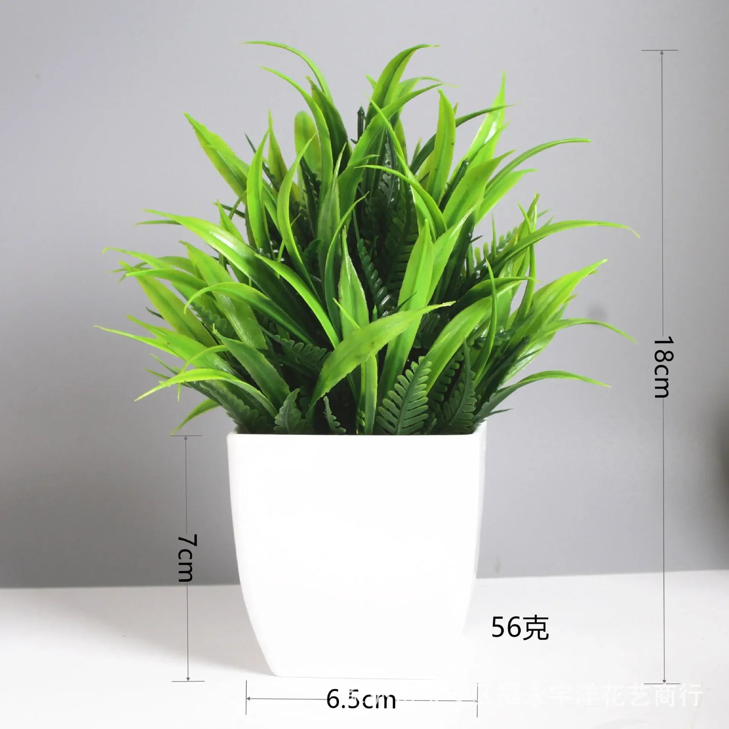 Planta Decorativa Mini Everline