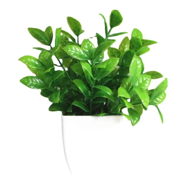Planta Decorativa Mini Everline