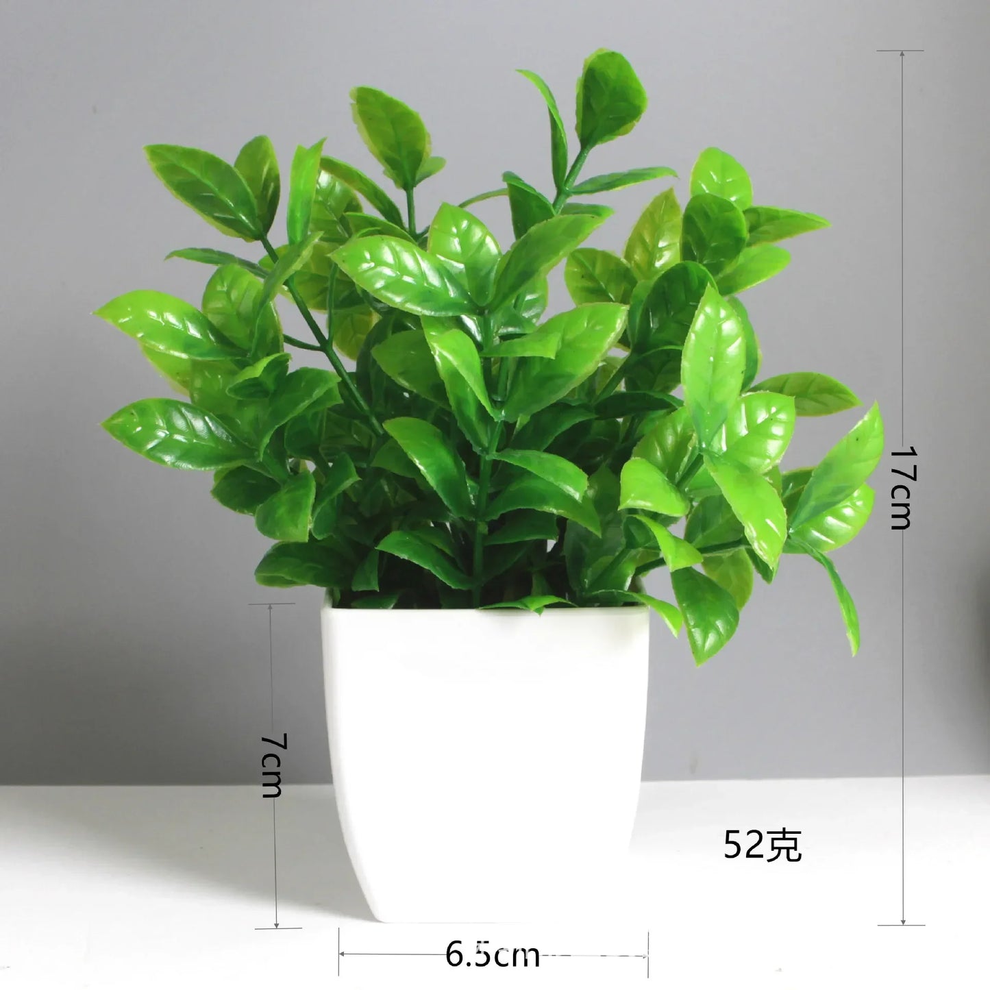 Planta Decorativa Mini Everline