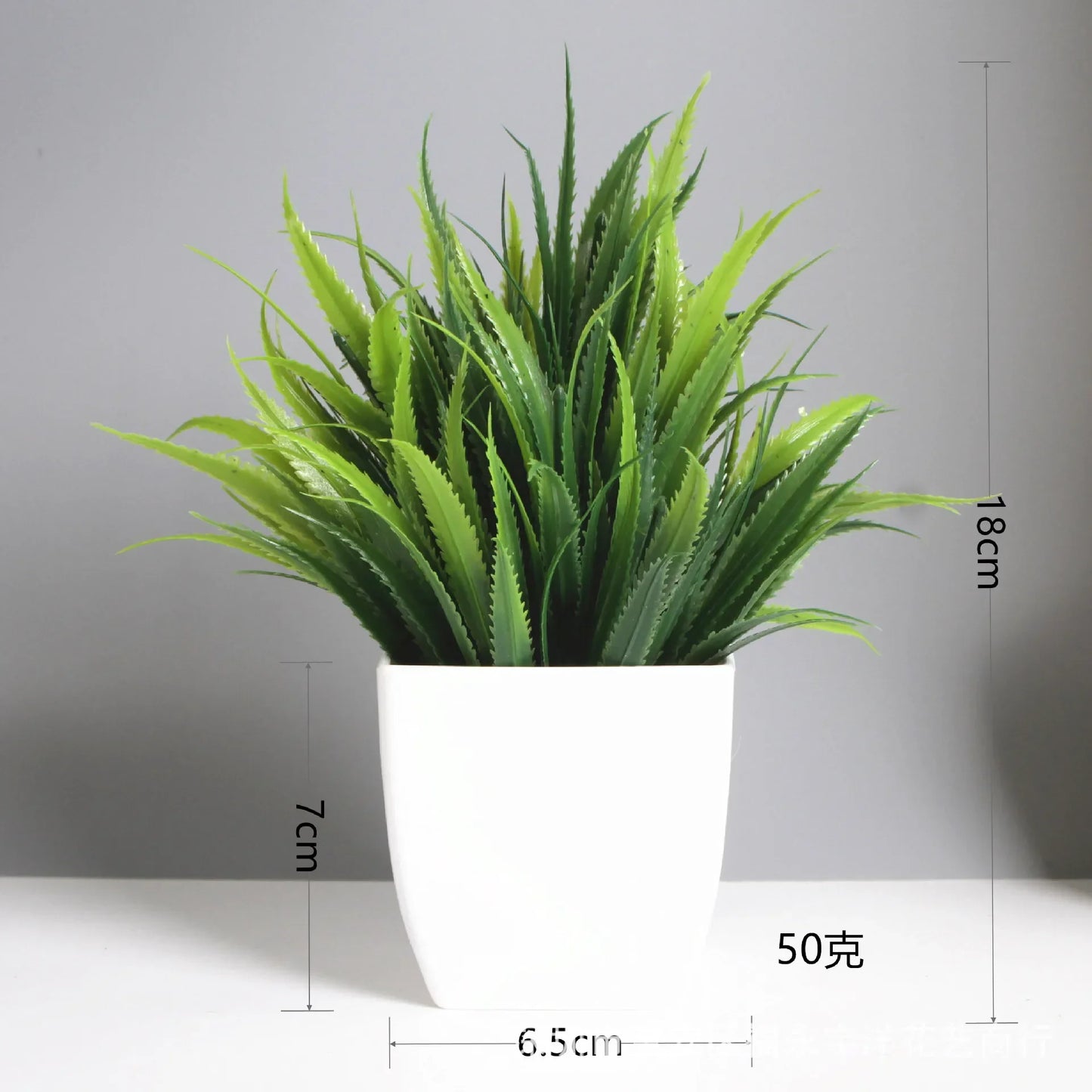 Planta Decorativa Mini Everline