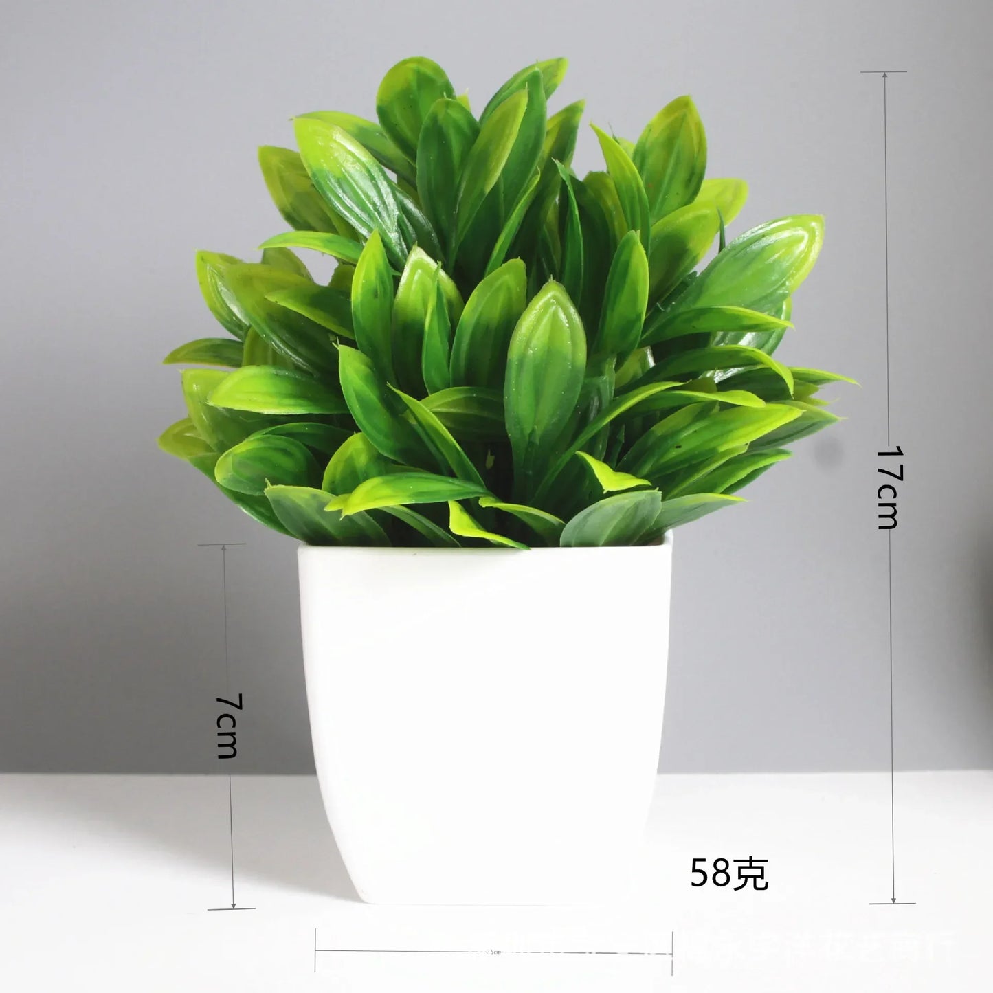 Planta Decorativa Mini Everline