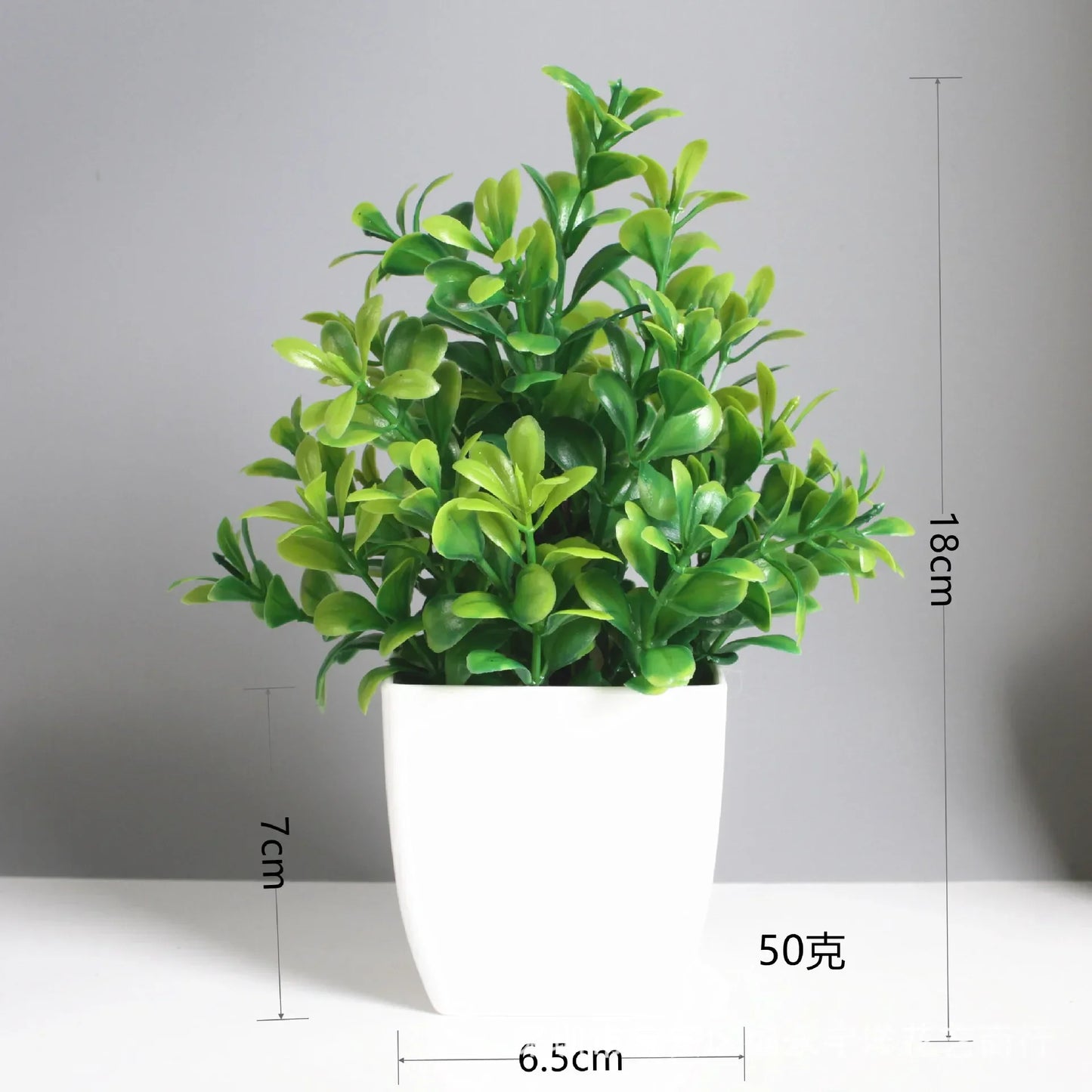 Planta Decorativa Mini Everline