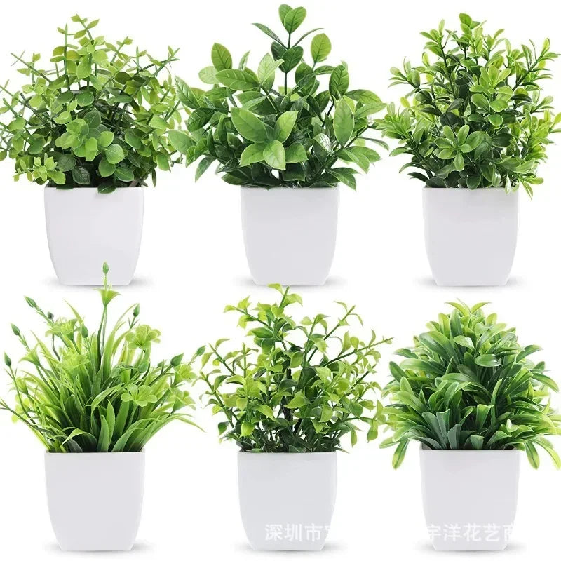 Planta Decorativa Mini Everline