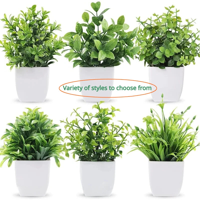 Planta Decorativa Mini Everline