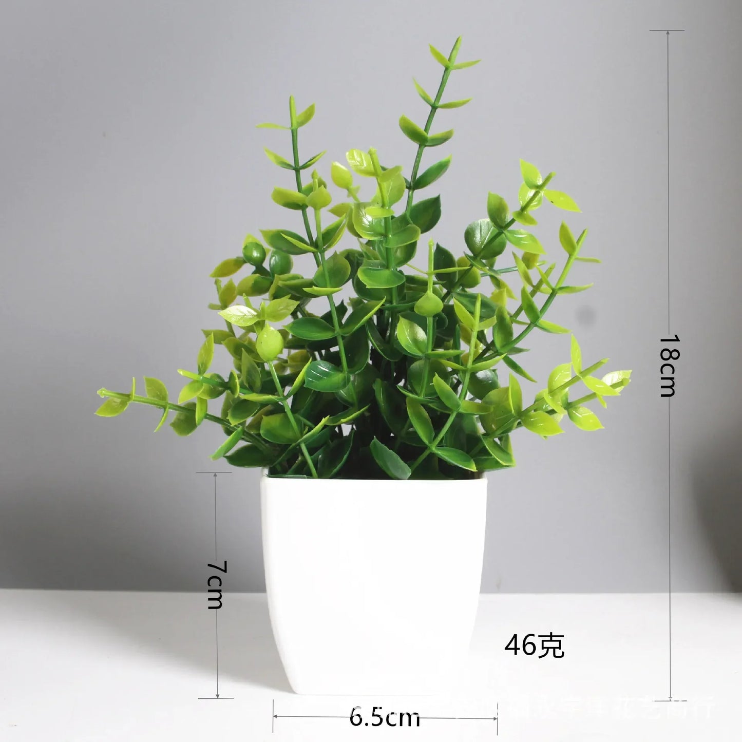 Planta Decorativa Mini Everline